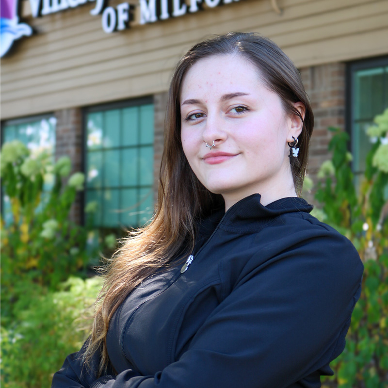 Cosmetic Dentist In Milford Mi
